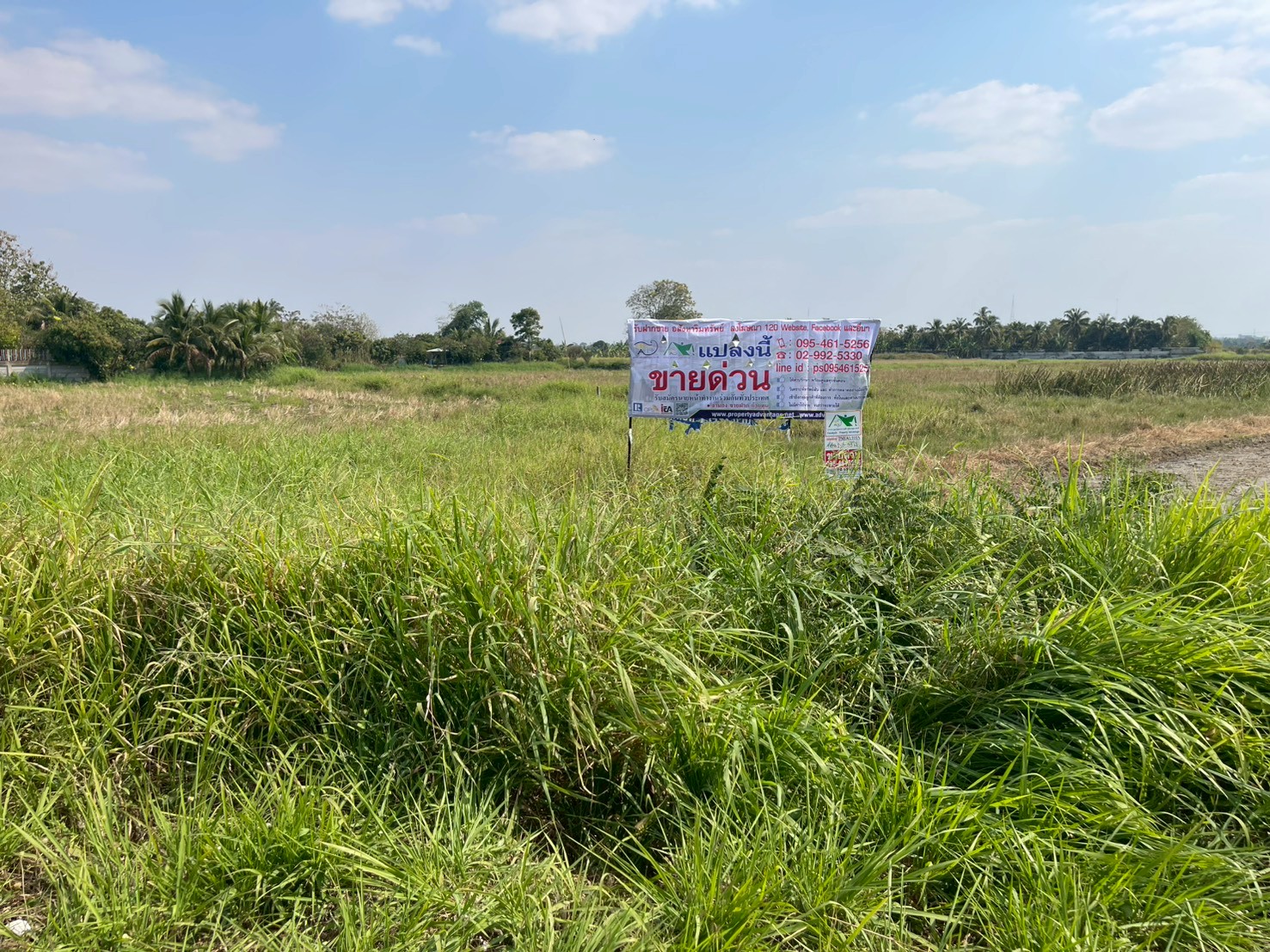 ตำบล หนองสรวง