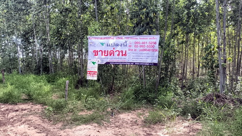 ตำบล สันป่าตอง