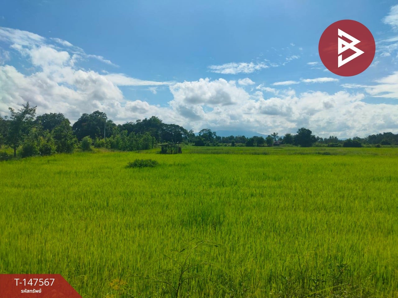 ตำบล โตนด, อำเภอ คีรีมาศ, จ.สุโขทัย