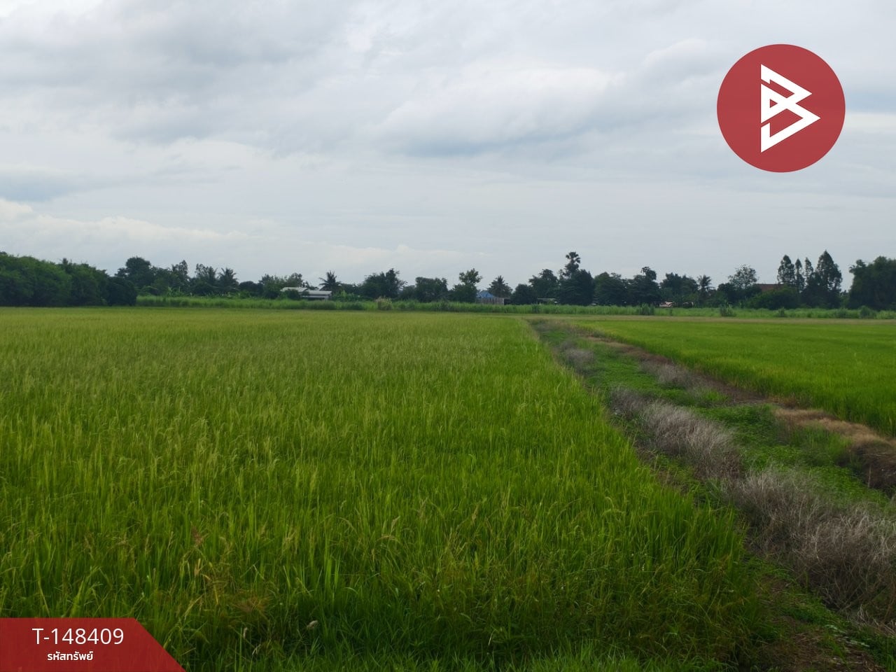ตำบล ศรีสำราญ, อำเภอสองพี่น้อง, จ.สุพรรณบุรี