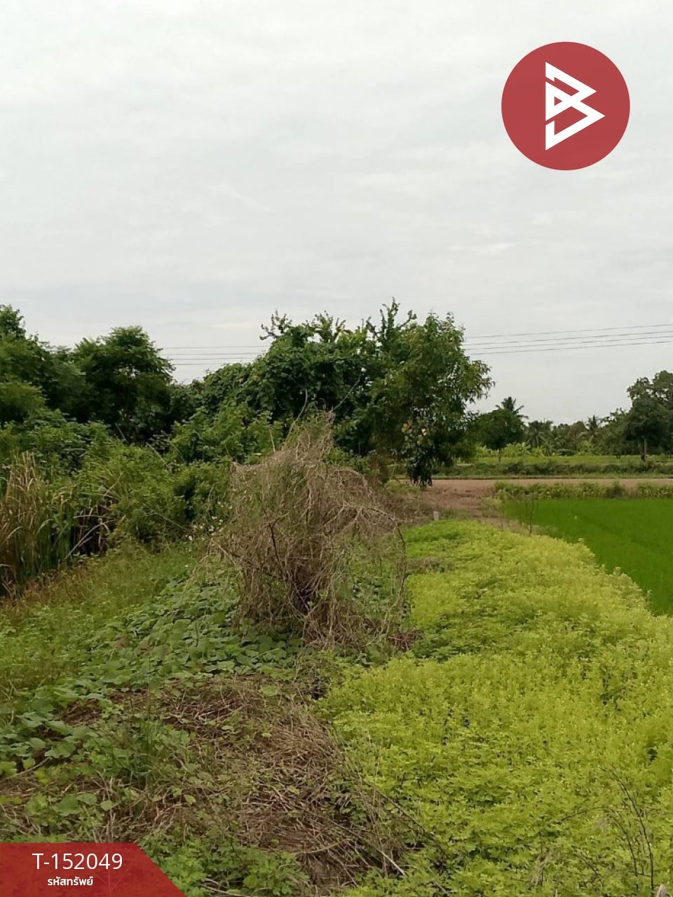 ตำบล ราษฎร์นิยม