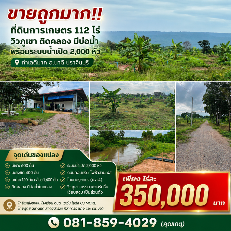 ตำบล นนทรี