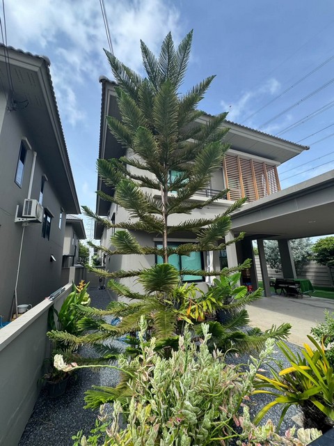 ตำบล บางพลีใหญ่