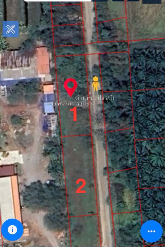 ตำบล ท่าทองใหม่