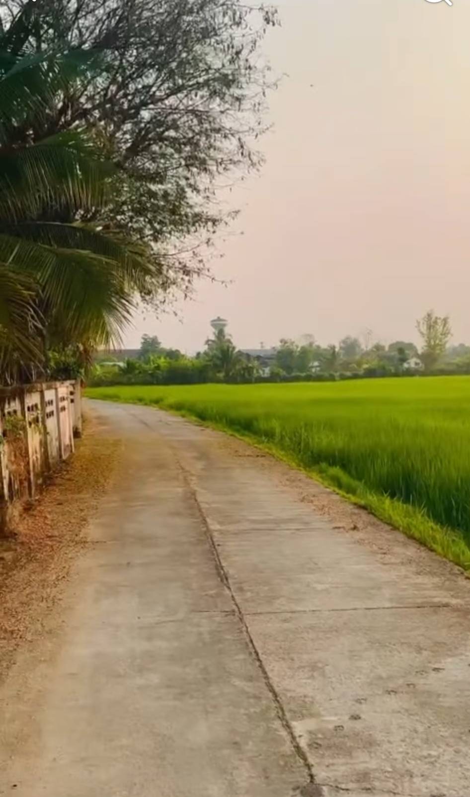 ตำบล สันกลาง