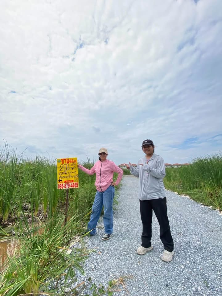 ตำบล บางม่วง